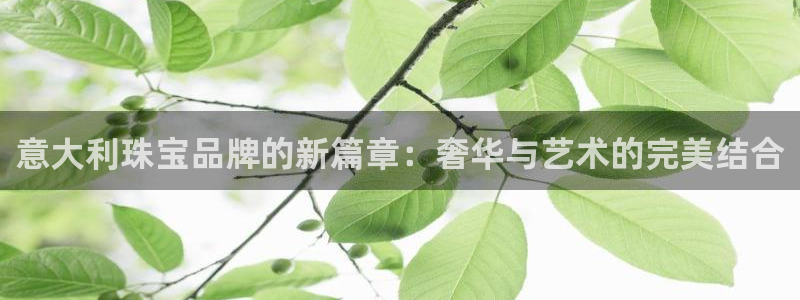 开丰娱乐登入：意大利珠宝品牌的新篇章：奢华与艺术的完美结合