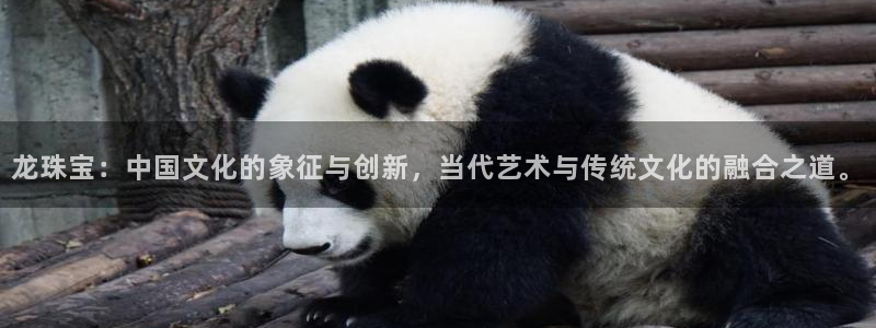 开丰娱乐新登录平台：龙珠宝：中国文化的象征与创新，当代艺术与传统文化的融合之道。