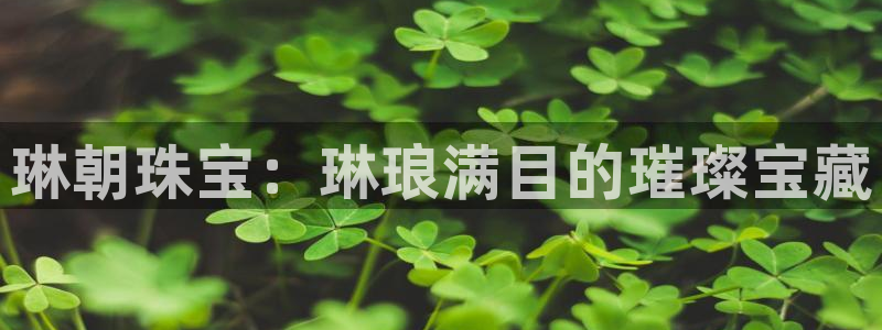 开丰娱乐官网登录网址：琳朝珠宝：琳琅满目的璀璨宝藏