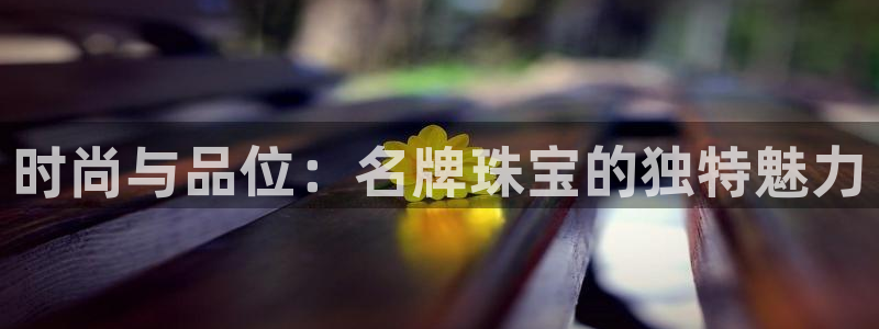 开丰娱乐怎么样：时尚与品位：名牌珠宝的独特魅力
