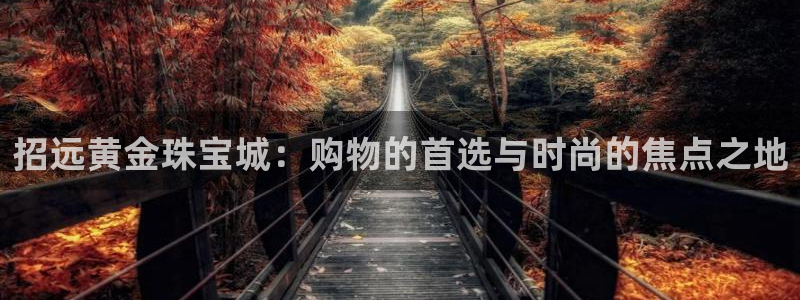 开丰娱乐平台官网网址：招远黄金珠宝城：购物的首选与时尚的焦点之地