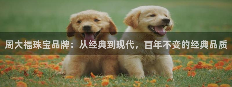 开丰娱乐最新活动：周大福珠宝品牌：从经典到现代，百年不变的经典品质