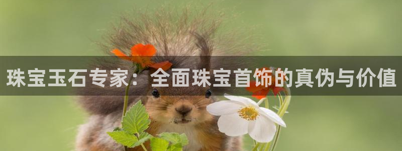 开丰娱乐月：珠宝玉石专家：全面珠宝首饰的真伪与价值