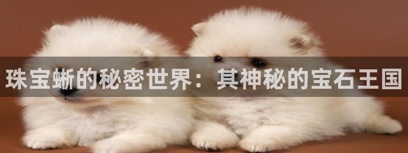 开丰娱乐平台登录：珠宝蜥的秘密世界：其神秘的宝石王国