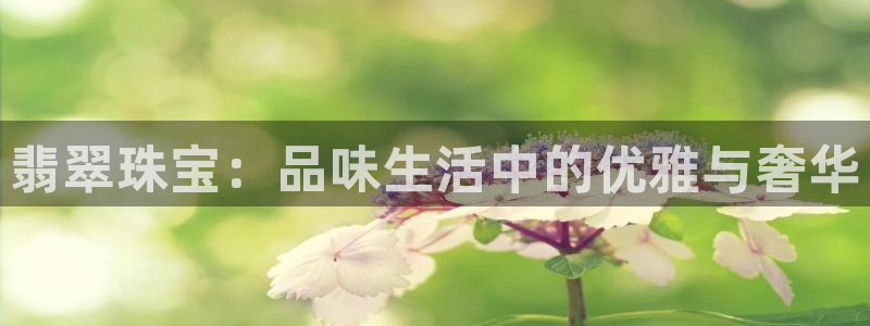 开丰娱乐平台官网网址