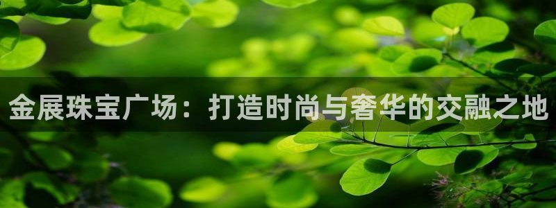 开丰娱乐登入地址查询：金展珠宝广场：打造时尚与奢华的交融之地