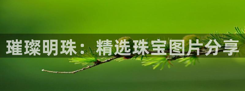 开丰娱乐线路：璀璨明珠：精选珠宝图片分享