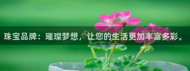 开丰娱乐网官网注册入口：珠宝品牌：璀璨梦想，让您的生活更加丰富多彩。