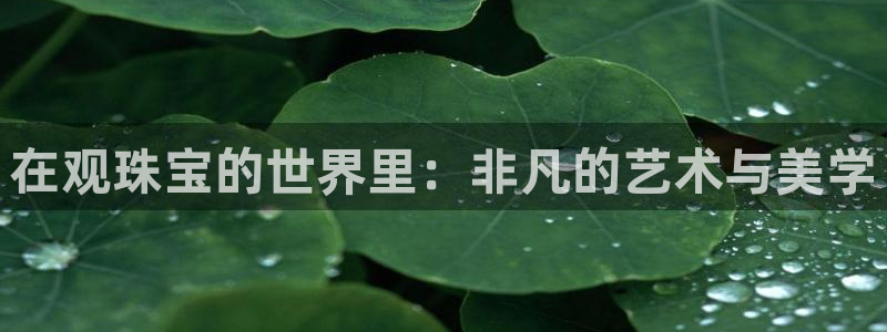 开丰娱乐寸67五壹叁八：在观珠宝的世界里：非凡的艺术与美学