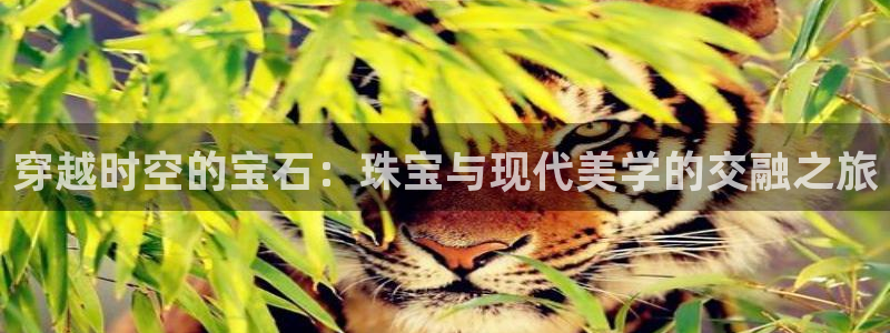 开丰娱乐科技