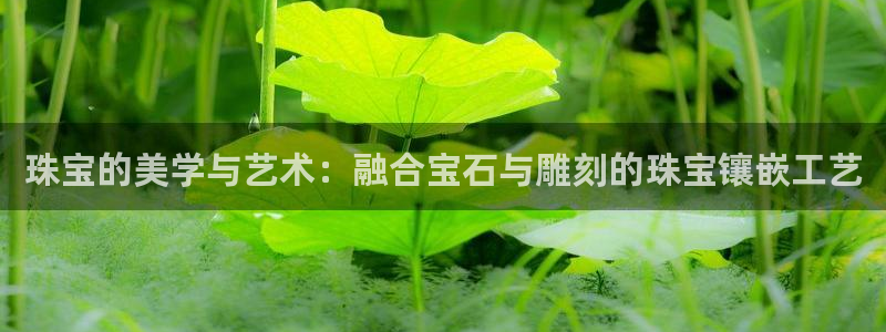 开丰娱乐靠谱吗：珠宝的美学与艺术：融合宝石与雕刻的珠宝镶嵌工艺