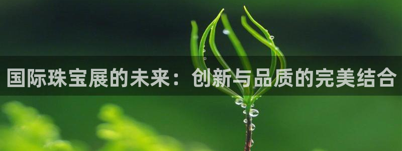 开丰娱乐月7O667：国际珠宝展的未来：创新与品质的完美结合