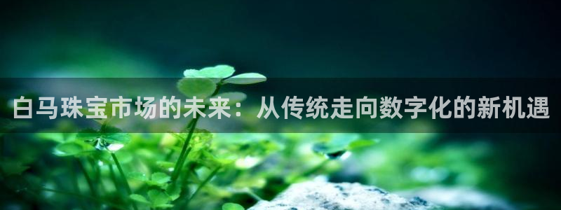 开丰娱乐官网平台：白马珠宝市场的未来：从传统走向数字化的新机遇