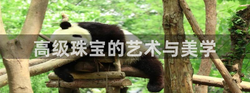 开丰娱乐平台官网登录：高级珠宝的艺术与美学