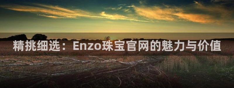 开丰娱乐天7O667：精挑细选：Enzo珠宝官网的魅力与价值