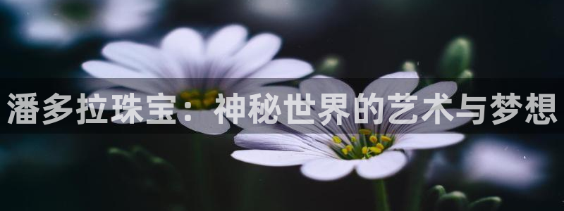 开丰娱乐寸六七五一38：潘多拉珠宝：神秘世界的艺术与梦想