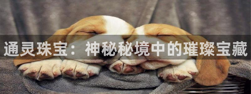 开丰娱乐登入：通灵珠宝：神秘秘境中的璀璨宝藏