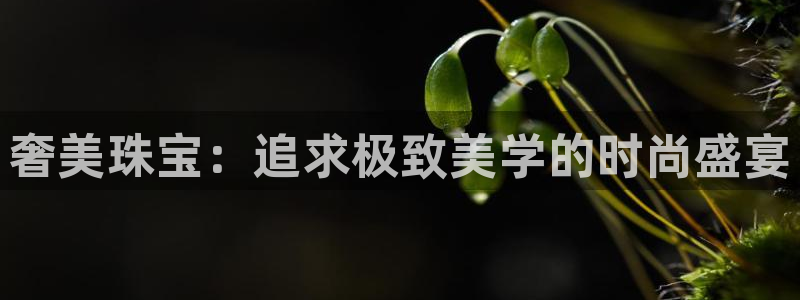 开丰娱乐注册：奢美珠宝：追求极致美学的时尚盛宴