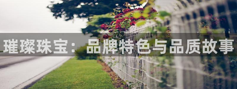 开丰娱乐平台官网网址：璀璨珠宝：品牌特色与品质故事