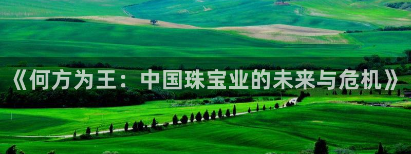 开丰娱乐注册自判官333OO：《何方为王：中国珠宝业的未来与危机》