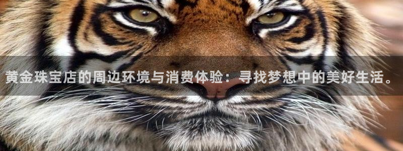 开丰娱乐寸六七五一38：黄金珠宝店的周边环境与消费体验：寻找梦想中的美好生活。