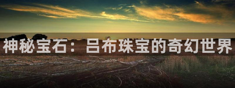 开丰娱乐联系q徽22212：神秘宝石：吕布珠宝的奇幻世界