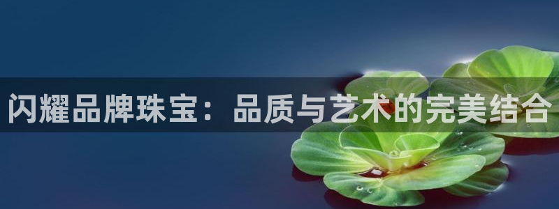 开丰娱乐平台登录：闪耀品牌珠宝：品质与艺术的完美结合