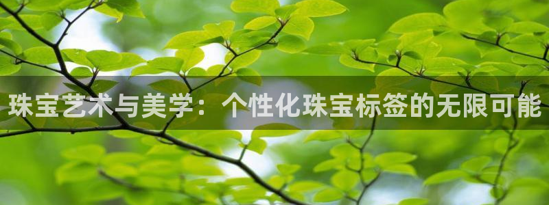 开丰娱乐怎么样：珠宝艺术与美学：个性化珠宝标签的无限可能