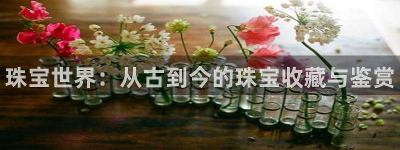 开丰娱乐登入地址在哪：珠宝世界：从古到今的珠宝收藏与鉴赏