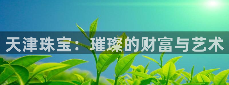 开丰娱乐主管：天津珠宝：璀璨的财富与艺术