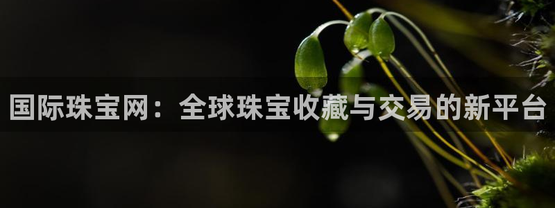 开丰娱乐登录官方网站：国际珠宝网：全球珠宝收藏与交易的新平台