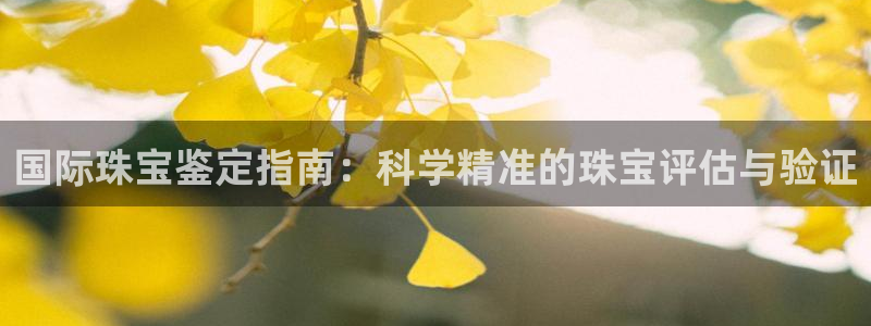 开丰娱乐官网登录平台：国际珠宝鉴定指南：科学精准的珠宝评估与验证