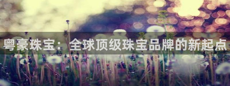 开丰娱乐登录：粤豪珠宝：全球顶级珠宝品牌的新起点