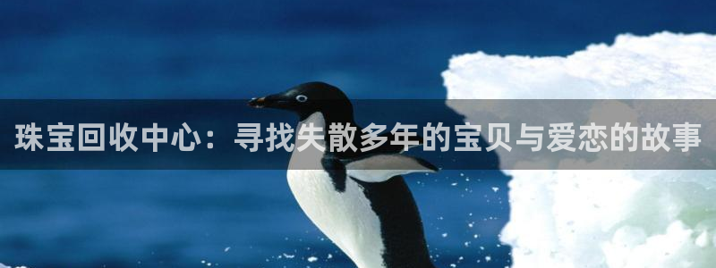圩丰刚开的娱乐场所：珠宝回收中心：寻找失散多年的宝贝与爱恋的故事