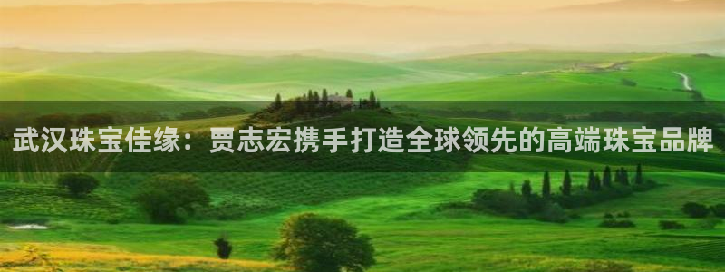 开丰娱乐千67五壹叁八：武汉珠宝佳缘：贾志宏携手打造全球领先的高端珠宝品牌