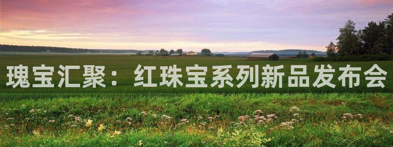 开丰娱乐官网平台网址：瑰宝汇聚：红珠宝系列新品发布会