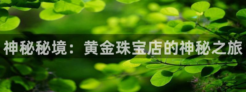 开丰娱乐上7O667：神秘秘境：黄金珠宝店的神秘之旅