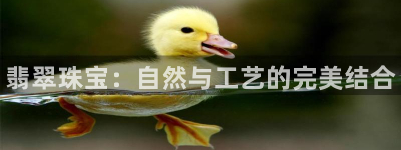 开丰娱乐最新活动：翡翠珠宝：自然与工艺的完美结合