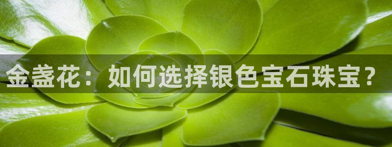 开丰娱乐官网平台网址：金盏花：如何选择银色宝石珠宝？