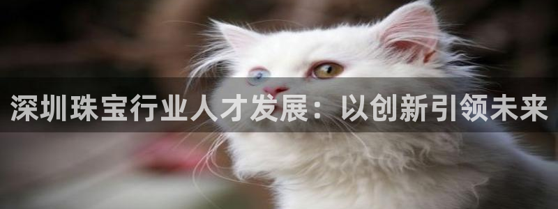 开丰娱乐官网：深圳珠宝行业人才发展：以创新引领未来