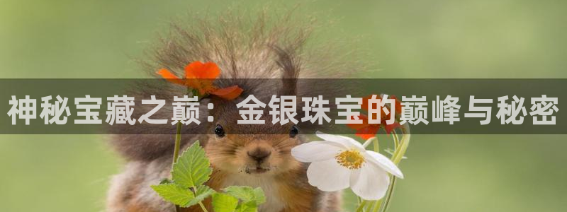 开丰娱乐巾67五壹叁八：神秘宝藏之巅：金银珠宝的巅峰与秘密