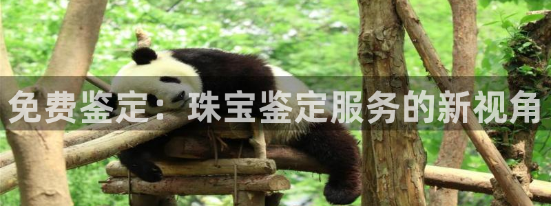 开丰娱乐于六七五一38：免费鉴定：珠宝鉴定服务的新视角