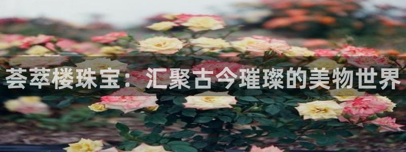 开丰娱乐下：荟萃楼珠宝：汇聚古今璀璨的美物世界