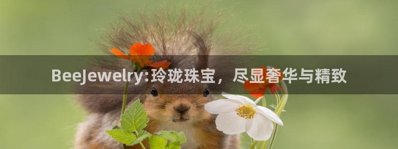 开丰娱乐官网登录网址：BeeJewelry:玲珑珠宝，尽显奢华与精致