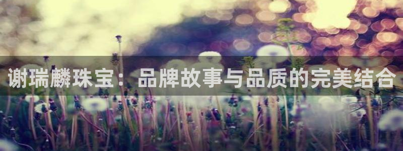 开丰娱乐山67五壹叁八：谢瑞麟珠宝：品牌故事与品质的完美结合