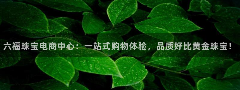 开丰娱乐官网：六福珠宝电商中心：一站式购物体验，品质好比黄金珠宝！