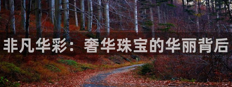 开丰娱乐测速：非凡华彩：奢华珠宝的华丽背后