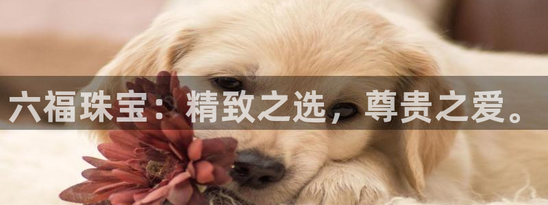 开丰娱乐平台地址电话：六福珠宝：精致之选，尊贵之爱。