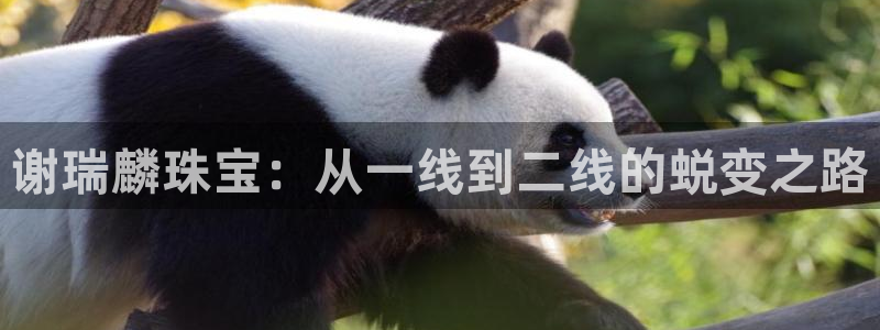 开丰娱乐平台注册：谢瑞麟珠宝：从一线到二线的蜕变之路