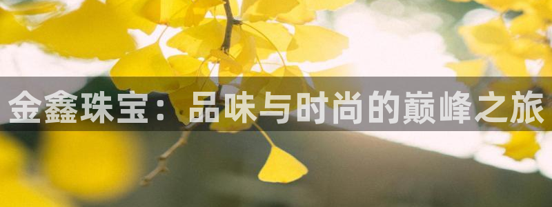 开丰娱乐更多平台：金鑫珠宝：品味与时尚的巅峰之旅